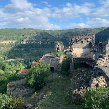 Magnifique Maison Avec Vue Sur Le Tarn En Aveyron ! * Saint-Rome-de-Tarn